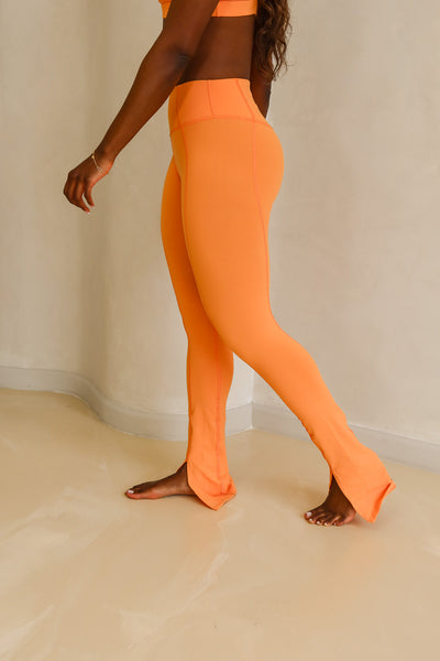 Devine Split Legging